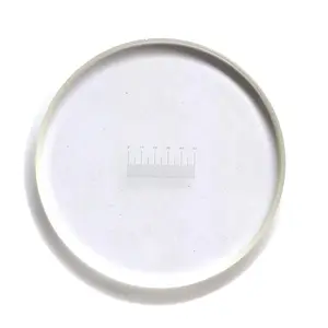 0.1mm 19mm Diameter Feet Shaped Eyepiece Graticule Measuring Glass Micrometer Ocular Reticle Ruler Slides