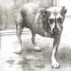 Alice in Chains - Alice in Chains  [COMPACT DISC - CD]