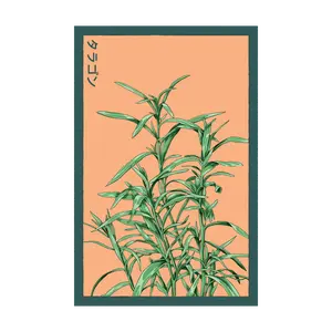 Tarragon Herb Seeds Packet