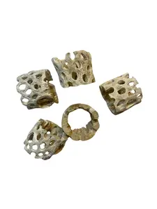 Real Cholla Cactus Wood Slices (5)