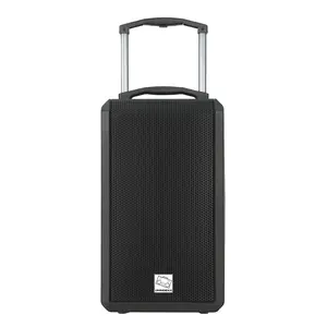 DMNDBXX PARTY12 Amplified Speaker  (PREORDER SALE Ships April 30)