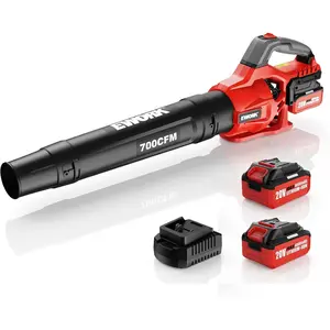 EWORK 20V Cordless Leaf Blower, Heavy Duty 700CFM 200MPH Electric Leaf Blower with 2 x 4.0Ah Batteries & Fast Charger, 2-Speed Adjustable for Patio, Garden, Yard and Snow Blowing
