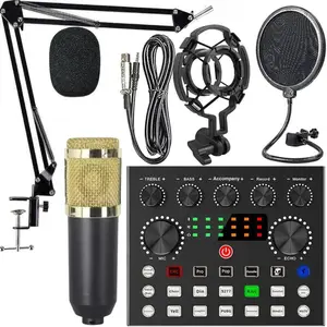 Professional Podcast Studio Equipment Set, 1 Set USB Rechargeable Condenser Microphone & Audio Interface & Sound Card, Live Equipment, Microphone Set, USB Audio Mixer