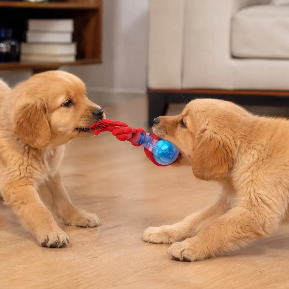 BENTOPAL Rechargeable High-Speed Self-Rolling Automatic Dog Ball Toy with Chew Rope, Interactive Smart Moving Toy for Small to Medium Dogs, Indoor Boredom Relief Entertainment