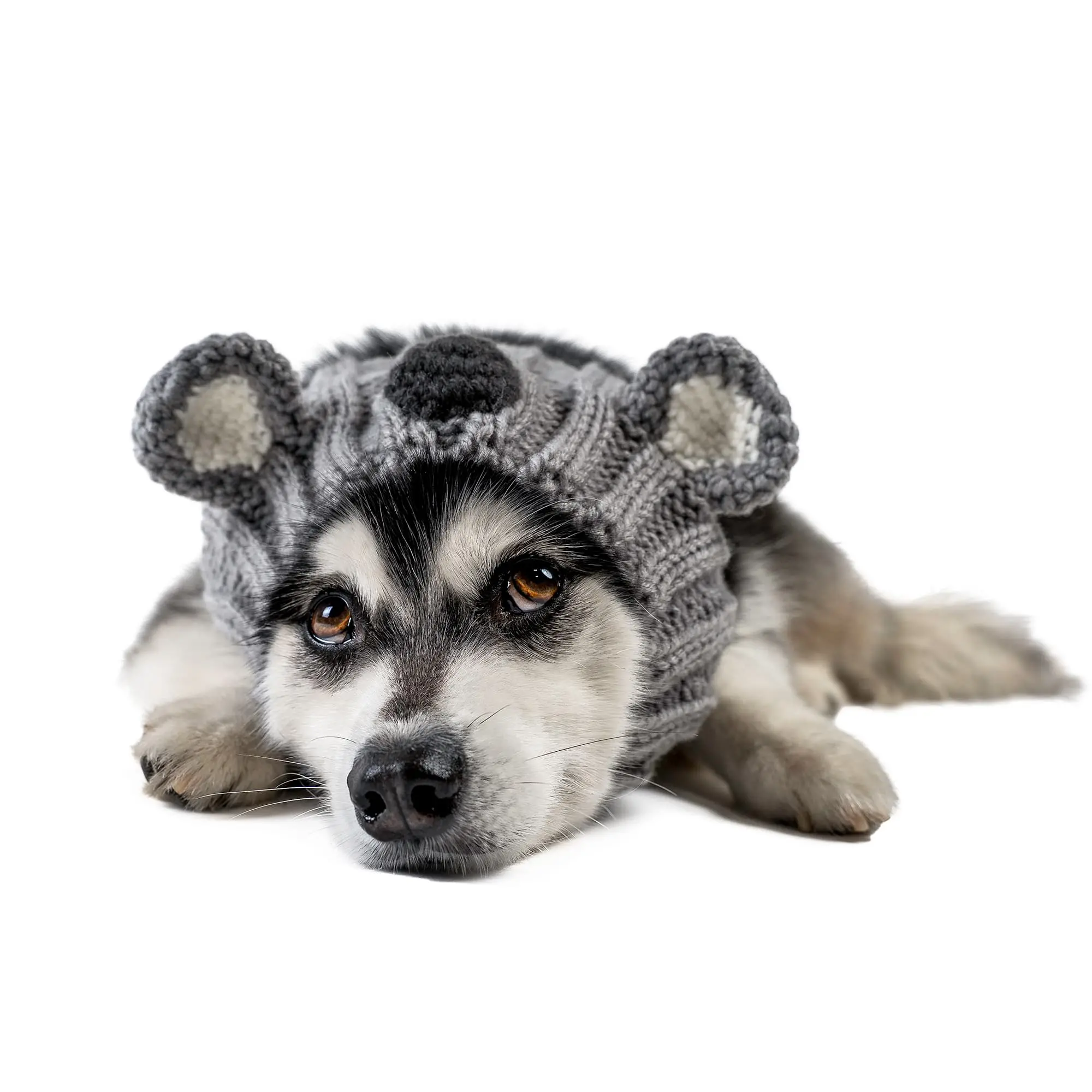 Koala Zoo Snood