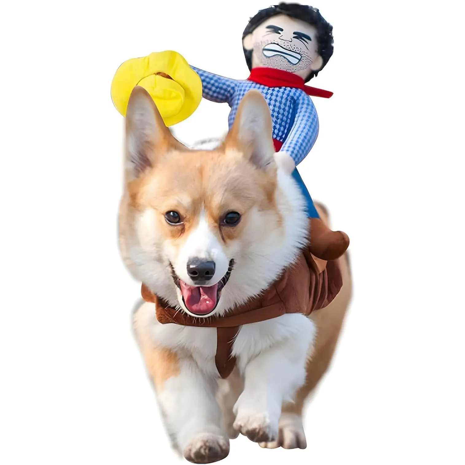 Cowboy Rider Dog Costume - Halloween Costumes for Small, Medium and Large Dogs