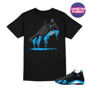 Aj 14 Match Youth and Adult T-Shirt, AJ14 Matching Tee, Streetwear Sneakerhead Shirt, Drip sneaker tee, Perfect Gift for Fans, Kids clothing, Y2K Retro Style Comfortable Unisex Top