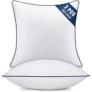 Set of 2 Fluffy Square Throw Pillow Inserts with 100% Cotton Covers Decorative White Pillow Fillers for Sofa Bed Couch Living Room Indoor Hotel 24x24 Inch Pack of 2 Blue Edge