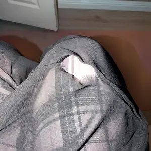 review image 5