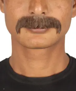 Men's Facial Hair Set Brown Horseshoe Mustache for Cosplay | Natural Fashion Beautiful Self Adhesive Mustache | Flame-retardant Synthetic Fiber