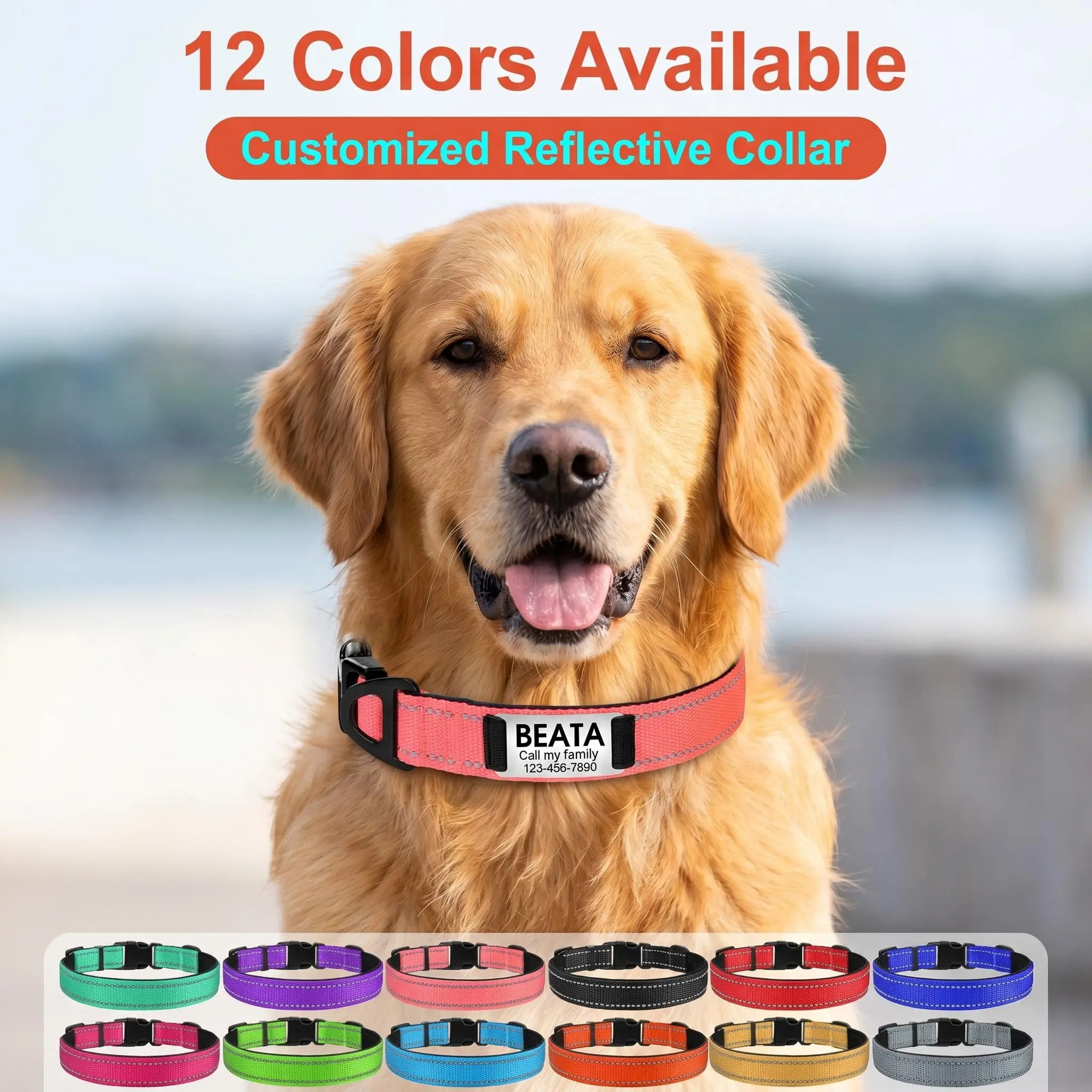 Customized Name Engraved Reflective Dog Collar - 360-Degree Transparent Reflective Nylon Webbing, Breathable Nylon, Soft Neoprene Padding, Adjustable Multi-Size, Metal D-Ring, for Small Medium Large Dogs