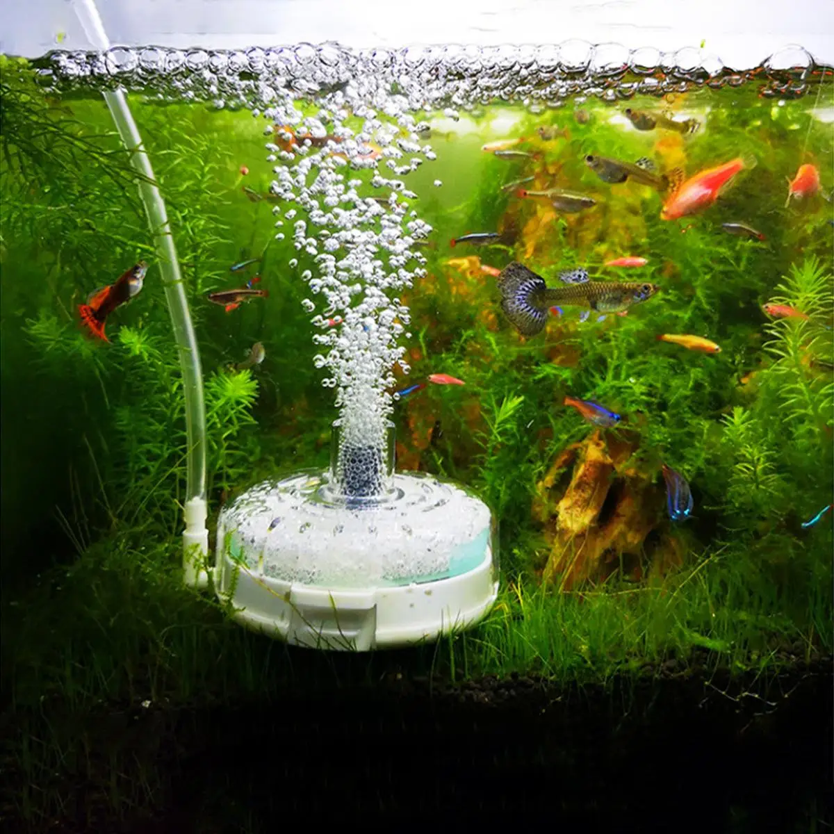 Aquarium Filter, Mini Fish Tank Filter, Fish Tank Filter, Pet Supplies, Aquatic Supplies, Suitable for Small Fish Tank
