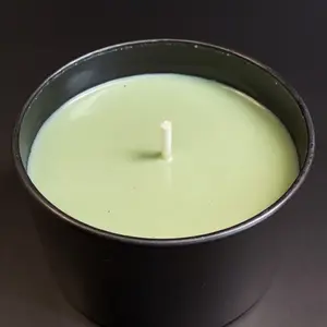 Wicked Memories Scented Candle in Elegant Tin with Mossy Forest Design for Aromatherapy and Home Decor