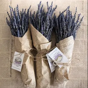 Dried Lavender Bundles Buy 2 Get 1 FREE for Home Décor Aromatherapy Chemical-Free Natural Fragrance Rustic Beauty Calming Scent hand harvested