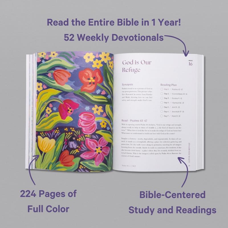Alabaster A Beautiful Year in the Bible: The 52-Week Bible Study for Women Daily Devotional Journal with Thoughtful Prompts & Suggested Readings (Soft-Cover)