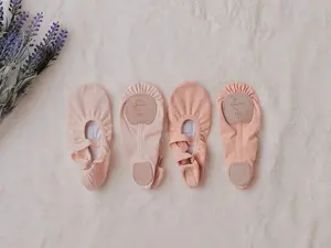 Professional Ballet Shoes