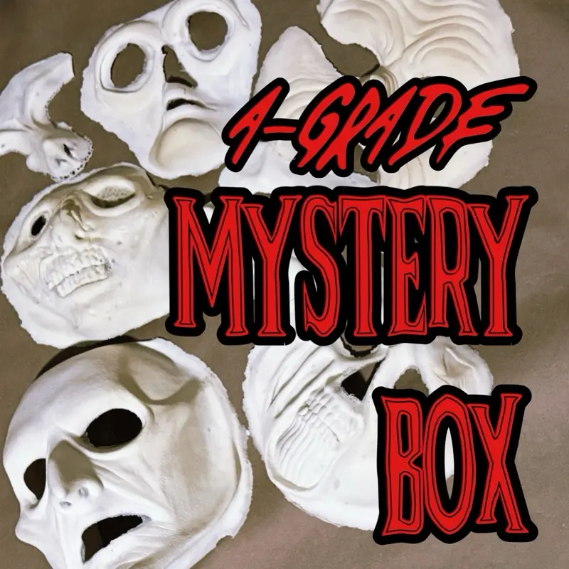 HAND PICKED RANDOM Box Foam Latex Prosthetic 2 PACK Set Gift
