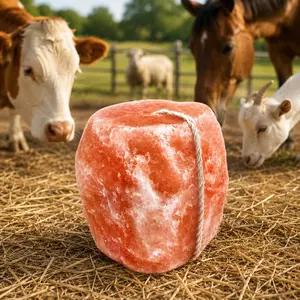 Natural Himalayan Salt Lick Block for Horses, Cattle, Goats & Sheep