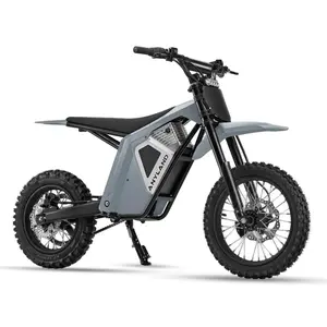 Anyland Rev 01 3000W Electric Dirt Bike for Teens & Adults, 48V/22.5AH Battery, 48-mi Range, Hydraulic Brakes, Mountain Off-Road Electric Motorcycle
