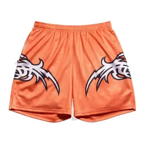 Randy Orton SummerSlam 2004 Retro Mesh Shorts All-Over Print Active Sport