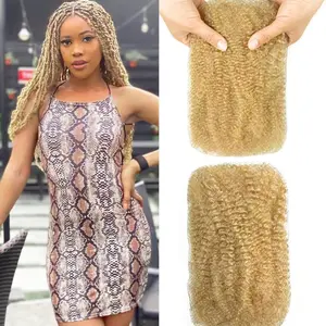 Afro Kinkys Bulk Human Hair 16 Inch 2 Bundles 100g 100% Human Hair for Mini Twist Braiding Dreadlocks Extensions Locs Repair Afro Kinky Curly Hair Bulk Honey Blonde