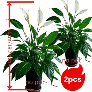 2 Sets Large Outdoor Artificial Greenery, Rainproof Design, Tropical Fake Flowers & Grass, Ideal for Photography, Home Decor, Garden, Wedding, Hotel, Office, Artificial Plants