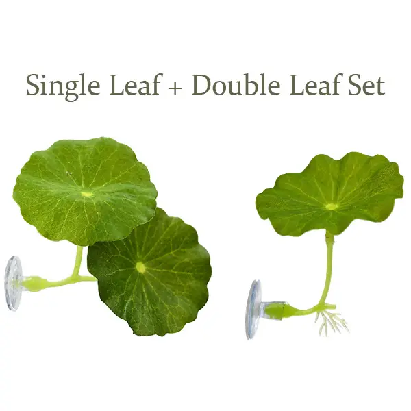 Betta Fish Leaf Hammock 2Pcs Set (1 Single + 1 Double Leaf), Suction Cup Aquarium Resting Leaves for Betta Fish Tank Decor