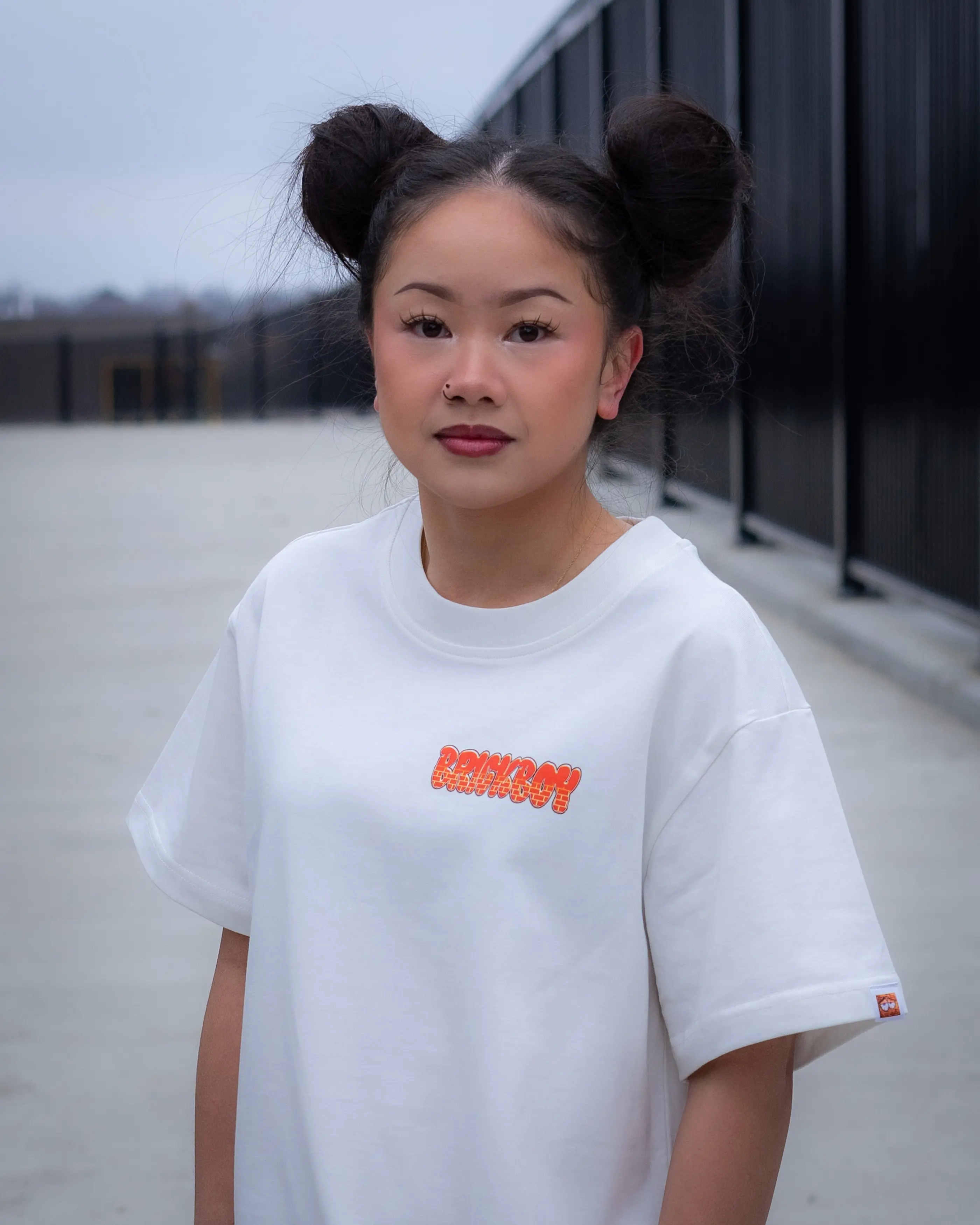 Big Brick High Resolution Graphic Screen Print T-Shirt 100% Cotton Oversized/Heavyweight High Quality