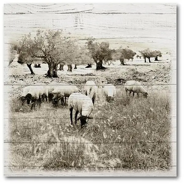 Courtside Market In The Fields 12x18 Canvas Wall Art