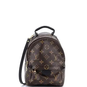 Pre-owned Louis Vuitton Canvas Coated, Leather Backpacks Palm Springs Backpack Monogram Canvas Mini by Rebag