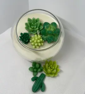 Vanilla Cactus & Eucalyptus Candle - Coconut Scent, Creamy Vanilla Base, Household Candle for Decor and Relaxation