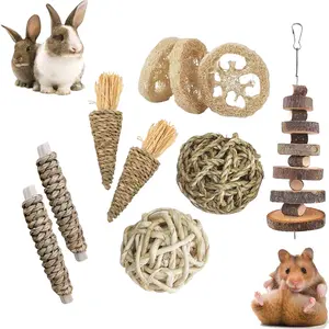 10-Piece Set Of Rabbit Dental Chew Toys Hamster And Rabbit Dental Chew Toys Natural Dental Chew Toys Rabbit And Bird Dental Chew Toys Teeth-Cleaning Toys ￼