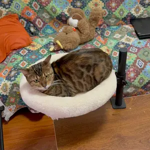 review image 6