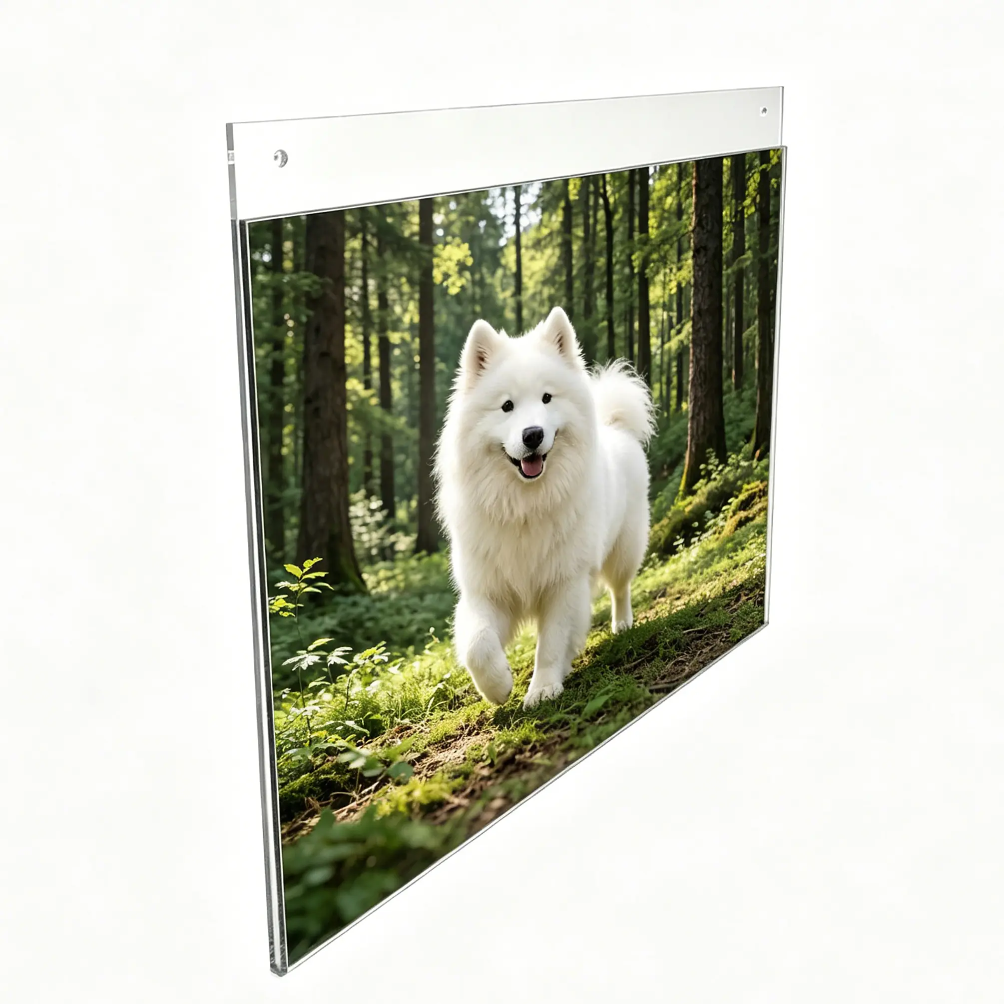 FixtureDisplays® 11x8.5" Wall Mount Sign Holder Clear Acrylic Picture Frame Single-Side Image Holder, Horizontal 12061-11X8.5-NF Peel off protective film (white) before use.