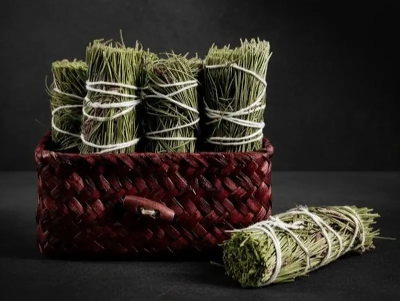 Pine Herbal Incense Wand – 4-Inch Forest-Scented Ritual Bundle