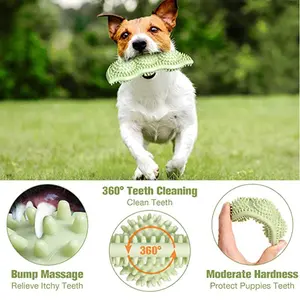 ChewSafe Dog Play Ball