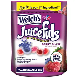 Juicefuls Juicy Fruit Snacks, Berry Blast, Fruit Gushers, Sharing Size Bags, 7 oz (Pack of 1)