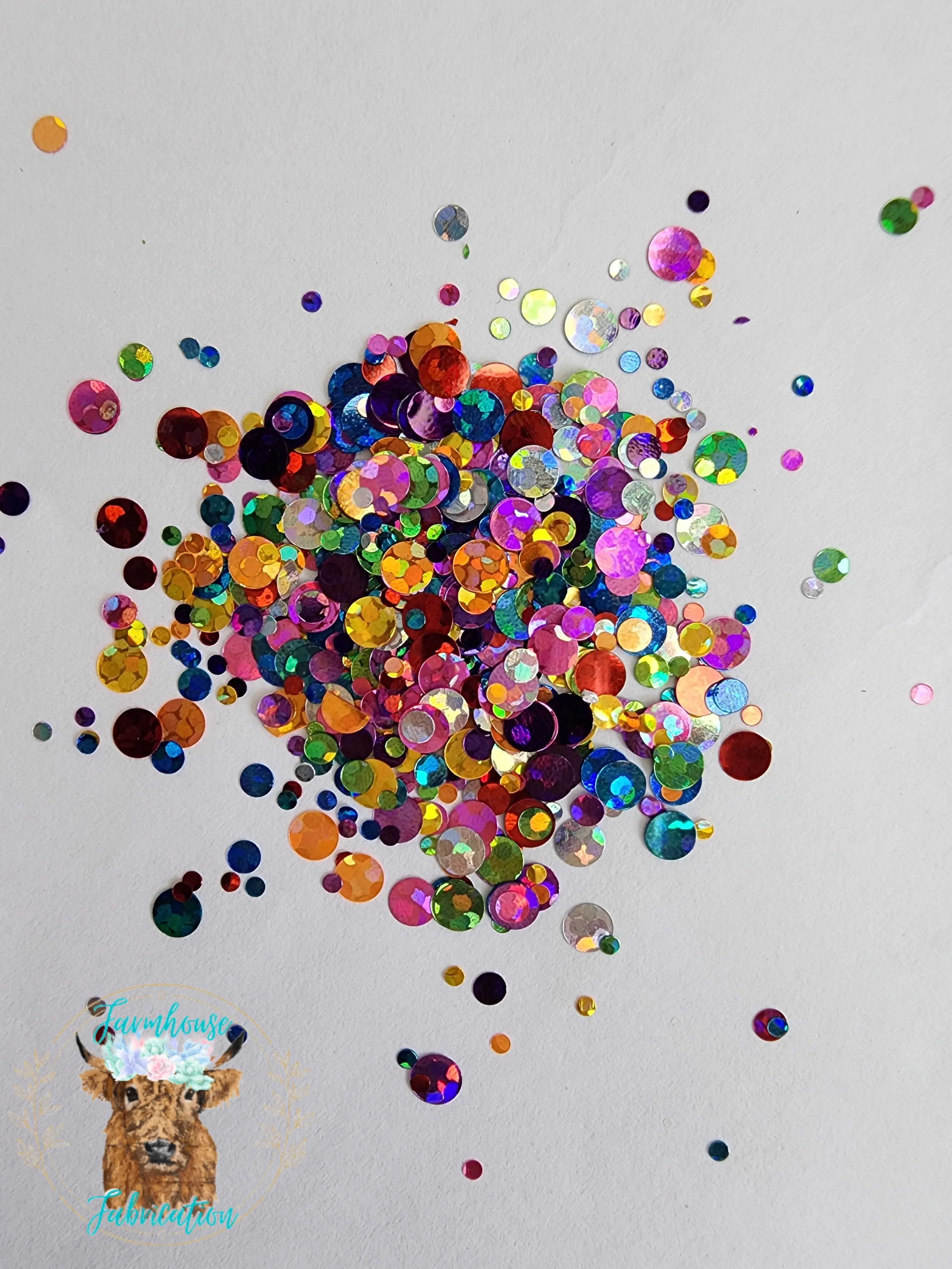"Teachers Pet" / Colorful Holographic Dot Mix Polyester Glitter