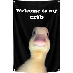 ILINJAU Welcome to My Crib Flag Funny Tapestry 2X3Ft Indoor Outdoor Wall Art Tapestry for Bedroom Teens Room Decoration Living Room Bedroom