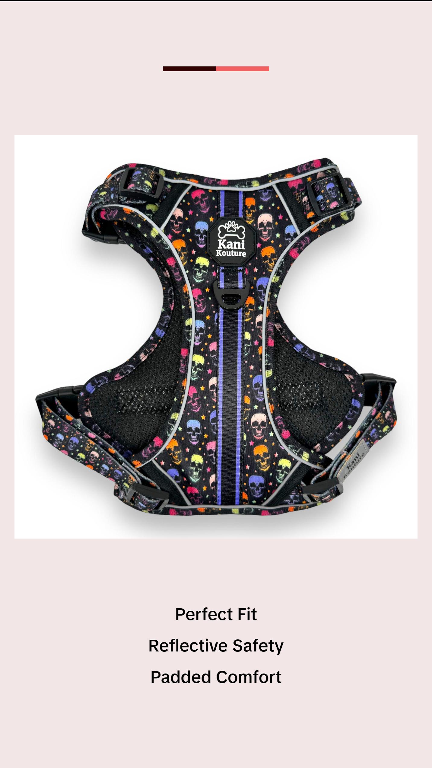 Skully Party - Adventure Harness