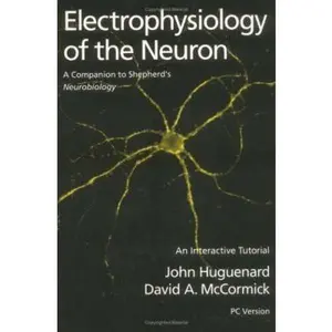 USED-Electrophysiology of the Neuron : An Interactive Tutorial/Book and Disk (IMB) by John Huguenard (Paperback)