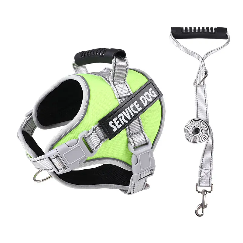 Green harness + leash