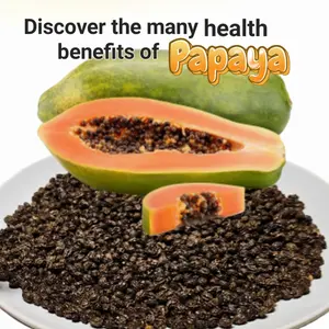 100 Papaya SEEDS FREE 10+ more Proven Sweet, Carica, So Many Health Benefits