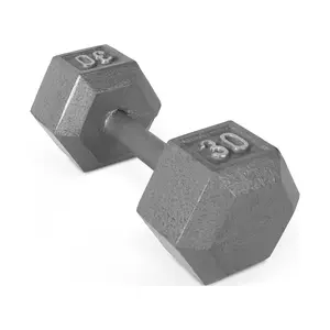 30lb Cast Iron Hex Dumbbell, Single