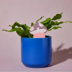 PlantDoc Color Changing Moisture Meter 100% Biodegradable Paper Water Indicator for Plant Care