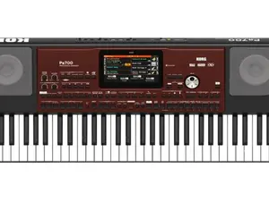 Korg Pa700 61-Key Arranger Workstation - 1,700 Sounds, Compact Design, Kaoss Effects, MIDI Control, Natural Sounds