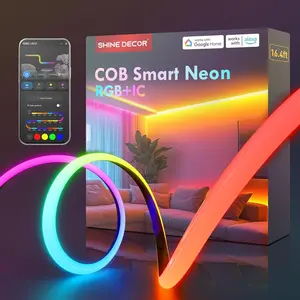 COB RGB+IC LED Neon Rope Light, 24V Color Changing Rope Light Compatible with Alexa, Google Assistant, Waterproof Neon Light Strip with Remote for Bedroom Gaming Room Party