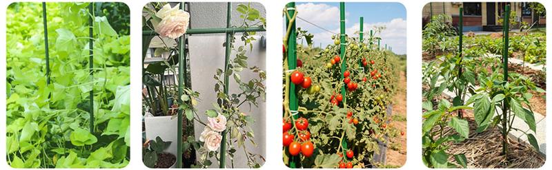 4ft Plastic Coated Steel Stakes – Garden Plant Supports for Tomatoes & Climbing Plants (25pcs)