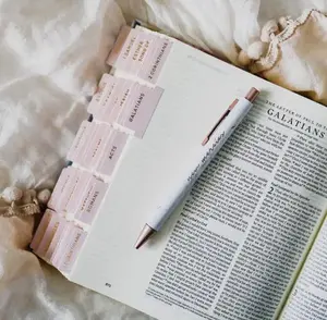 Blush Bible Tabs - Christian Bible Tabs - Matte Bible Tabs - Christian Gift - Books Of The Bible Tabs - Bible Accessories - Bible Tabs