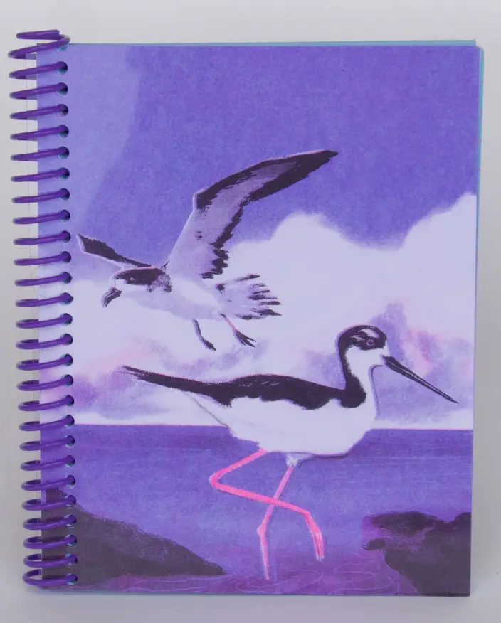Makai Birds Spiral Bound Notebook 4x6